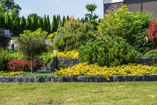 Landscaping for Beginners Step-by-Step Guide