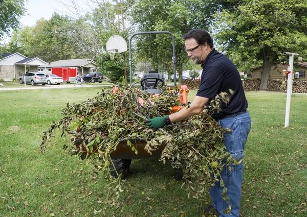 Professional Tree Service Janesville for Residential and Commercial Needs