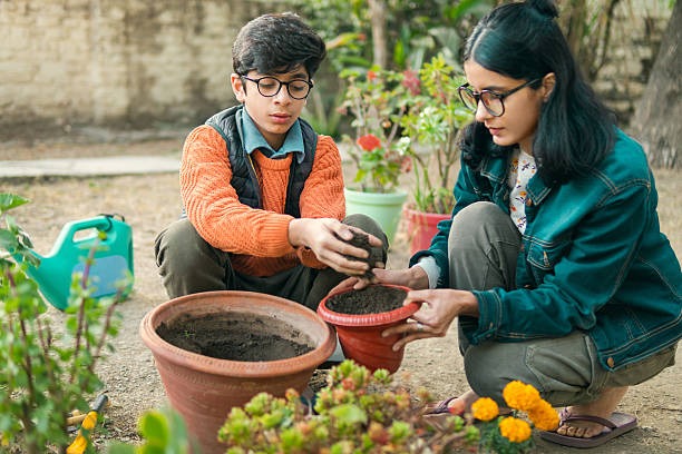Finding Your Perfect Garden Design