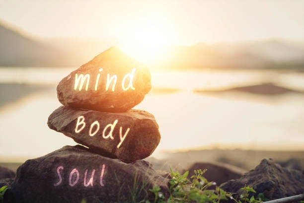 Comparing Popular Wellness Solutions in 2026