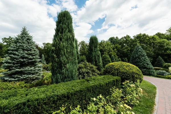 Bring Your Outdoor Vision to Life With Professional Landscaping