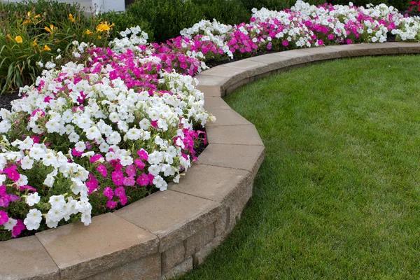 Smart Irrigation Solutions for Healthy and Beautiful Landscapes